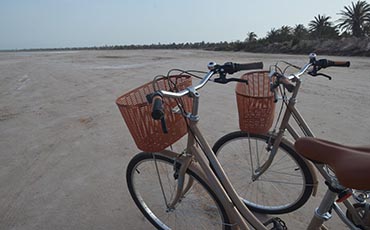 bicycle rental in djerba island